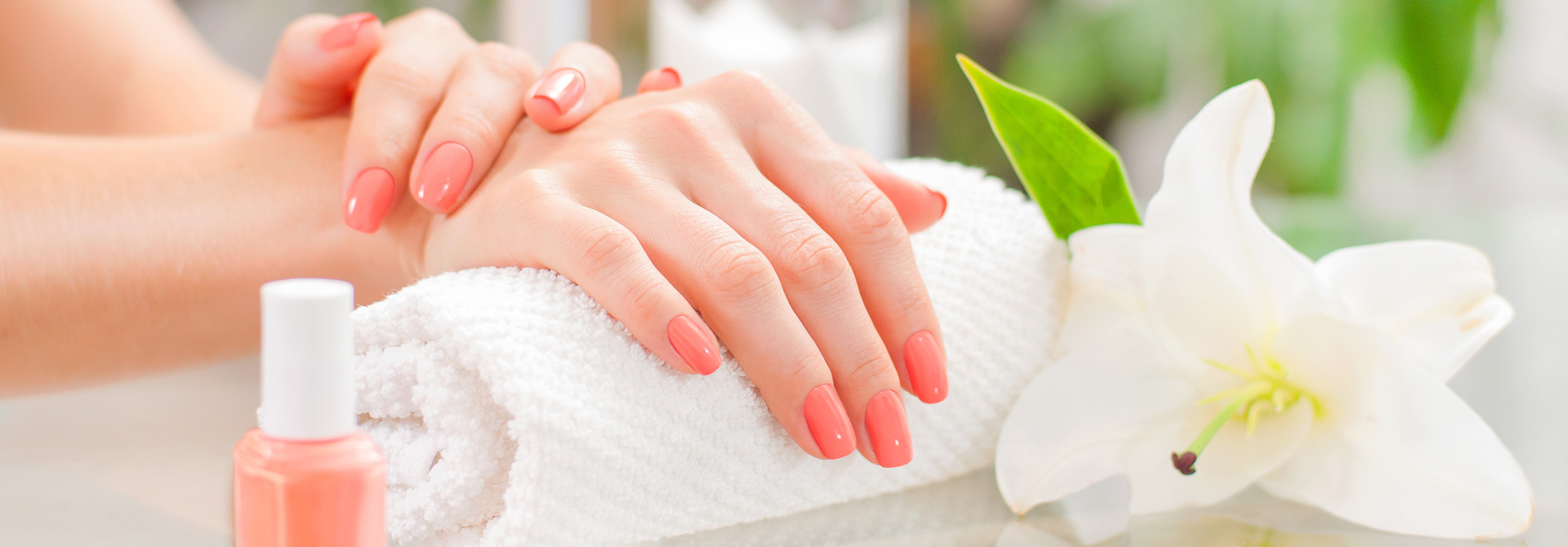 Hands with freshly manicured and painted fingernails after a spa treatment.
