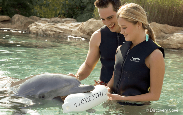 Couple in a pool with a dolphin at Discovery Cove