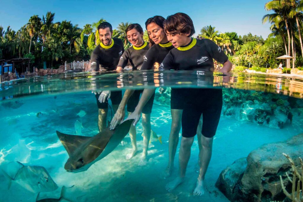 Family petting a sting ray at Discovery Cove