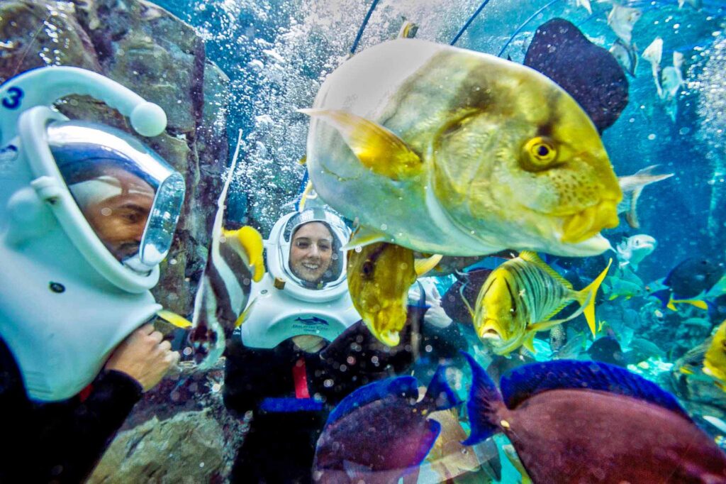 Couple wearing dive helmets underwater at the Discovery Cove SeaVenture