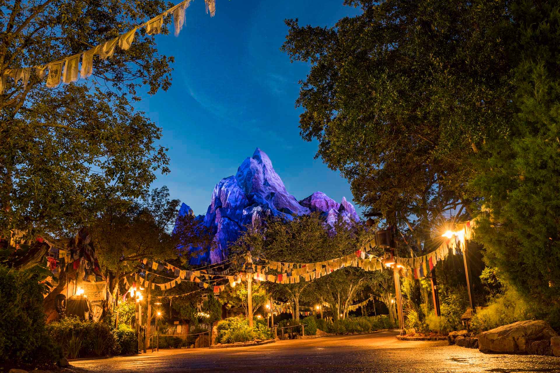 View of the Expedition Everest roller coaster at nighttime at Disney's Animal Kingdom