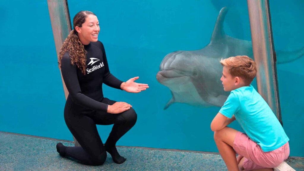 Dolphin trainer talking to a young boy next to the dolphin tank at SeaWorld Orlando